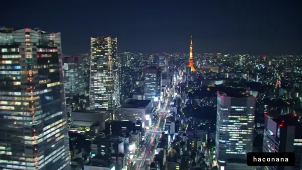 東京の夜景とビル群