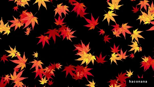 美しい紅葉の葉