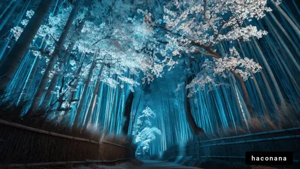 幻想的な竹林の道
