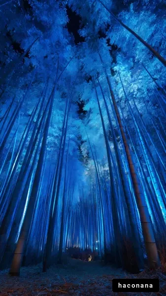青く照らされた竹林