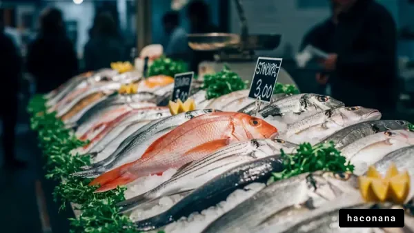 市場の新鮮な魚たち