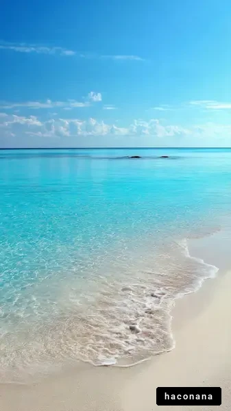 美しい青い海の風景